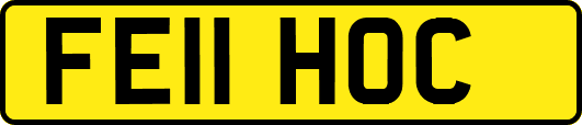 FE11HOC