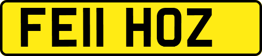FE11HOZ