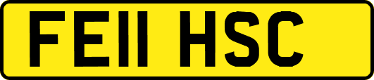 FE11HSC