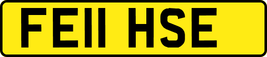 FE11HSE