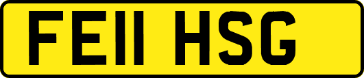 FE11HSG