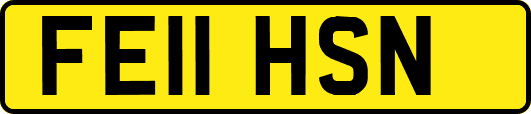 FE11HSN