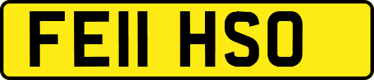 FE11HSO