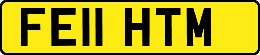 FE11HTM