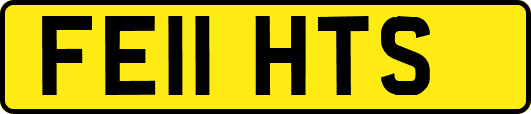 FE11HTS