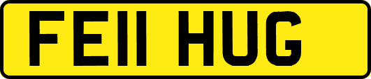 FE11HUG