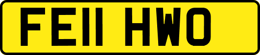 FE11HWO