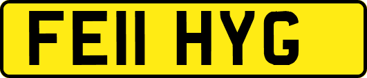 FE11HYG