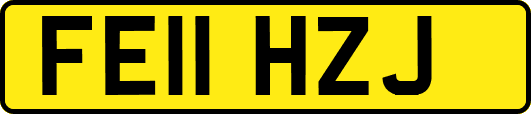 FE11HZJ