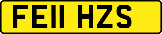 FE11HZS