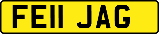 FE11JAG