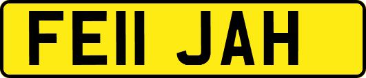 FE11JAH