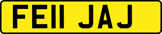 FE11JAJ