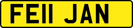 FE11JAN