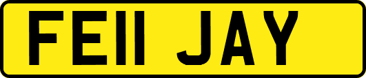 FE11JAY