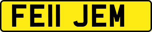 FE11JEM