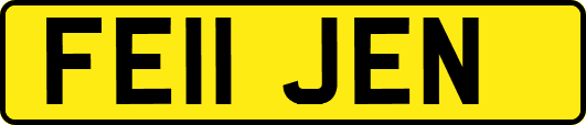 FE11JEN