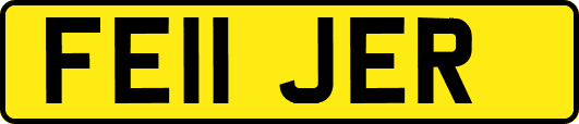 FE11JER