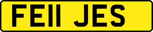 FE11JES