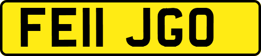 FE11JGO