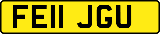 FE11JGU