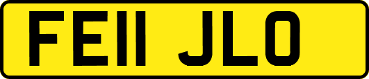 FE11JLO