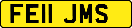 FE11JMS