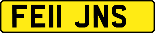 FE11JNS