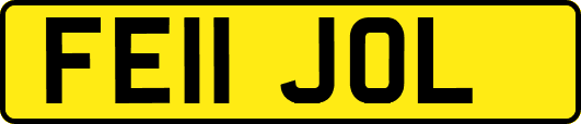 FE11JOL