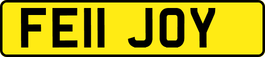 FE11JOY