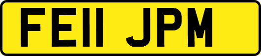 FE11JPM