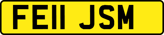 FE11JSM