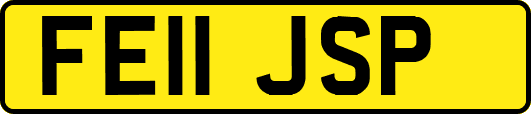 FE11JSP