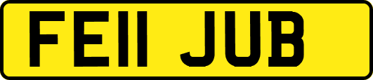 FE11JUB