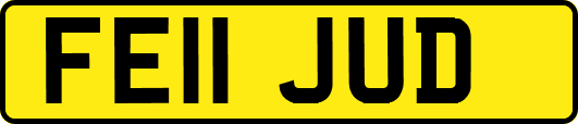 FE11JUD