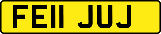 FE11JUJ