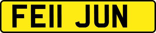 FE11JUN