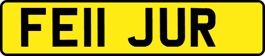FE11JUR