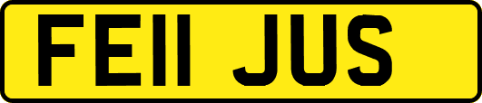 FE11JUS
