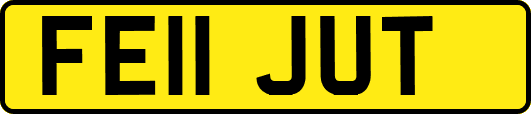 FE11JUT