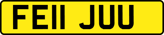 FE11JUU