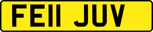 FE11JUV