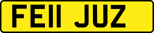FE11JUZ