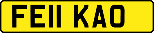 FE11KAO