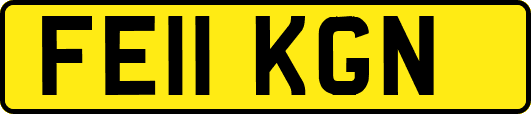 FE11KGN