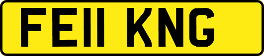 FE11KNG