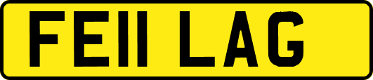 FE11LAG