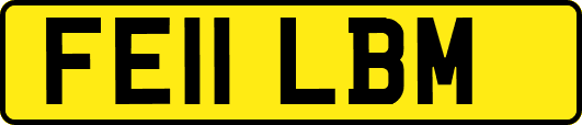 FE11LBM