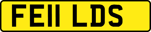 FE11LDS