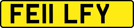 FE11LFY